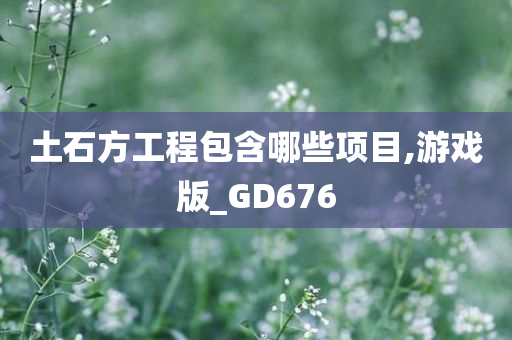 土石方工程包含哪些项目,游戏版_GD676