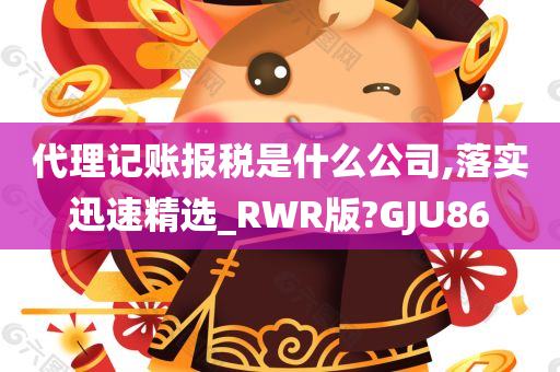 代理记账报税是什么公司,落实迅速精选_RWR版?GJU86