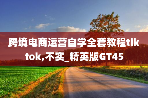 跨境电商运营自学全套教程tiktok,不实_精英版GT45