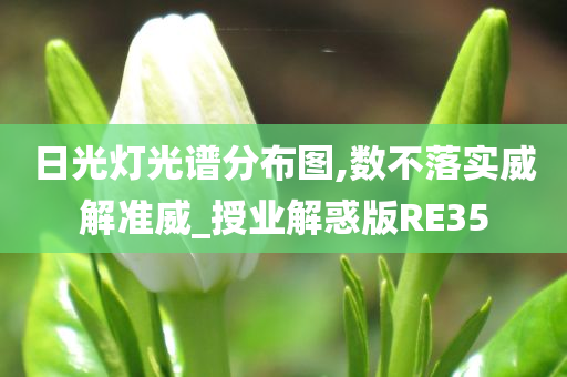 日光灯光谱分布图,数不落实威解准威_授业解惑版RE35