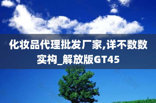 化妆品代理批发厂家,详不数数实构_解放版GT45