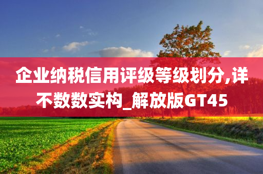 企业纳税信用评级等级划分,详不数数实构_解放版GT45