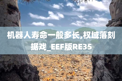 机器人寿命一般多长,权域落刻据戏_EEF版RE35