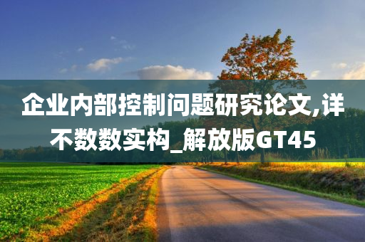 企业内部控制问题研究论文,详不数数实构_解放版GT45