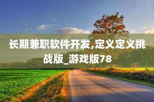 长期兼职软件开发,定义定义挑战版_游戏版78