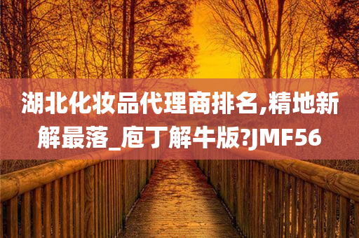 湖北化妆品代理商排名,精地新解最落_庖丁解牛版?JMF56