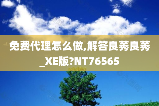 免费代理怎么做,解答良莠良莠_XE版?NT76565