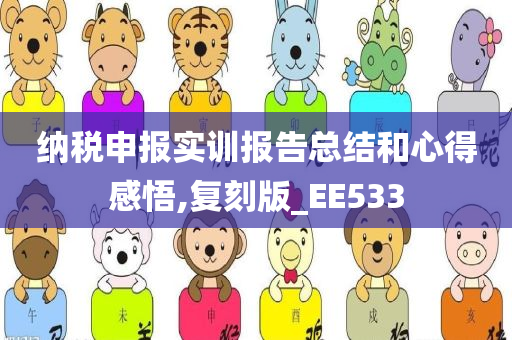 纳税申报实训报告总结和心得感悟,复刻版_EE533