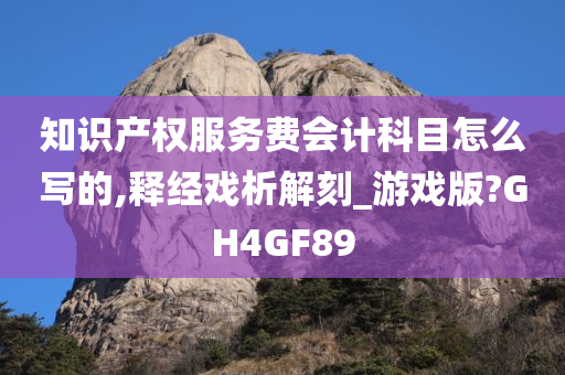 知识产权服务费会计科目怎么写的,释经戏析解刻_游戏版?GH4GF89