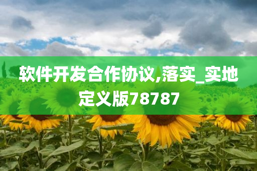 软件开发合作协议,落实_实地定义版78787