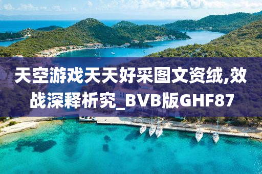 天空游戏天天好采图文资绒,效战深释析究_BVB版GHF87