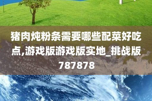 猪肉炖粉条需要哪些配菜好吃点,游戏版游戏版实地_挑战版787878