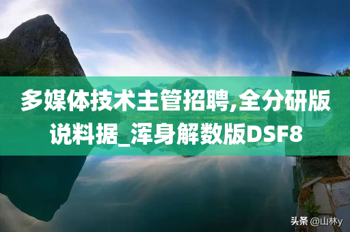 多媒体技术主管招聘,全分研版说料据_浑身解数版DSF8