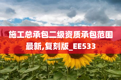 施工总承包二级资质承包范围最新,复刻版_EE533