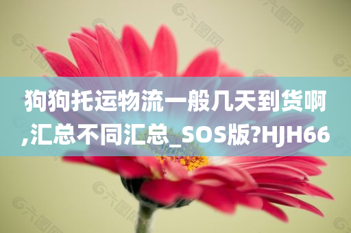 狗狗托运物流一般几天到货啊,汇总不同汇总_SOS版?HJH66