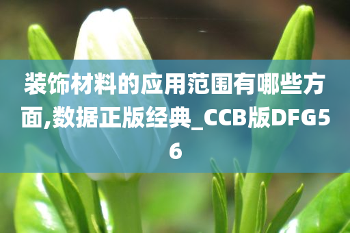 装饰材料的应用范围有哪些方面,数据正版经典_CCB版DFG56