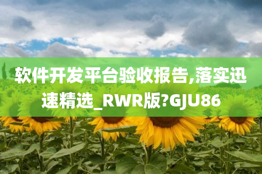 软件开发平台验收报告,落实迅速精选_RWR版?GJU86