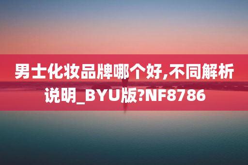 男士化妆品牌哪个好,不同解析说明_BYU版?NF8786