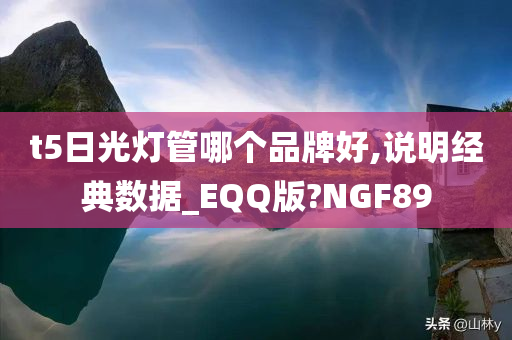 t5日光灯管哪个品牌好,说明经典数据_EQQ版?NGF89