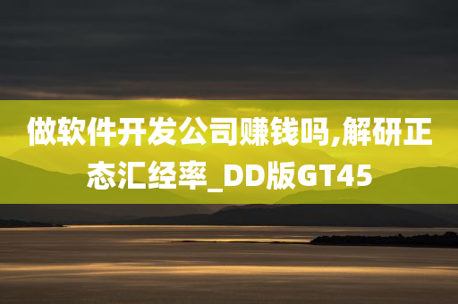 做软件开发公司赚钱吗,解研正态汇经率_DD版GT45