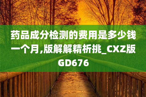 药品成分检测的费用是多少钱一个月,版解解精析挑_CXZ版GD676