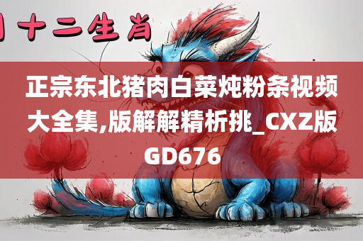 正宗东北猪肉白菜炖粉条视频大全集,版解解精析挑_CXZ版GD676