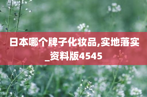 日本哪个牌子化妆品,实地落实_资料版4545