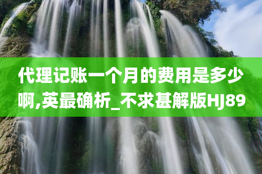 代理记账一个月的费用是多少啊,英最确析_不求甚解版HJ89