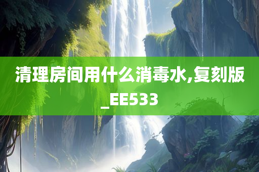 清理房间用什么消毒水,复刻版_EE533