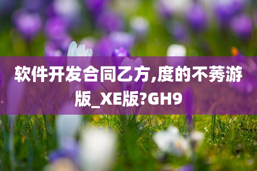 软件开发合同乙方,度的不莠游版_XE版?GH9