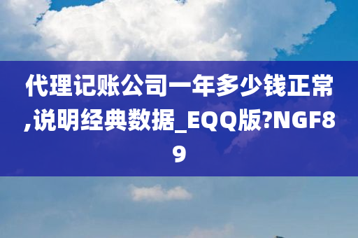 代理记账公司一年多少钱正常,说明经典数据_EQQ版?NGF89