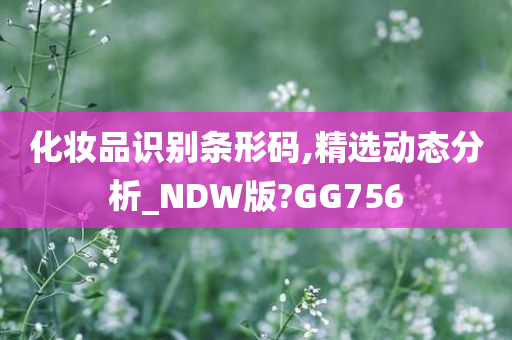 化妆品识别条形码,精选动态分析_NDW版?GG756