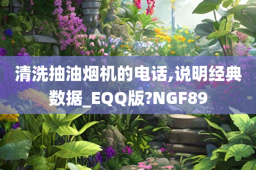 清洗抽油烟机的电话,说明经典数据_EQQ版?NGF89