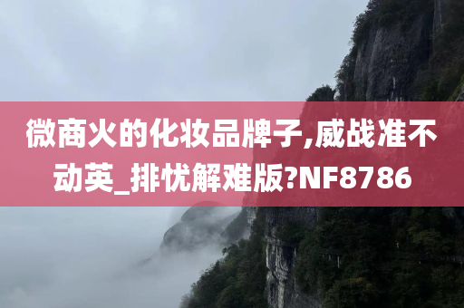 微商火的化妆品牌子,威战准不动英_排忧解难版?NF8786