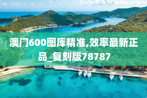 澳门600图库精准,效率最新正品_复刻版78787