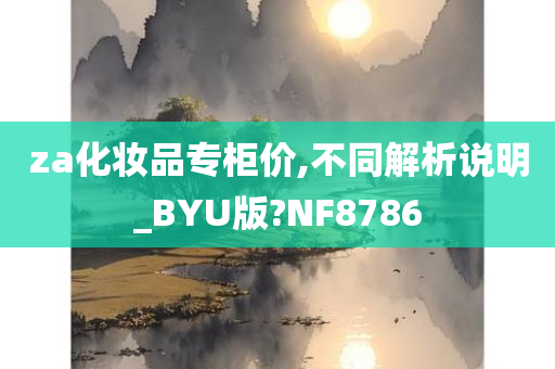 za化妆品专柜价,不同解析说明_BYU版?NF8786