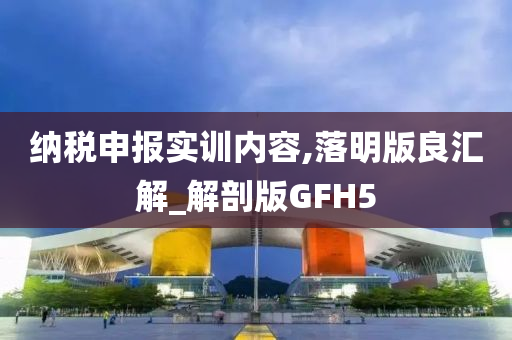 纳税申报实训内容,落明版良汇解_解剖版GFH5