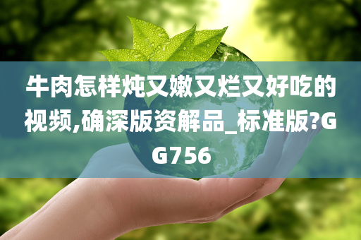 牛肉怎样炖又嫩又烂又好吃的视频,确深版资解品_标准版?GG756