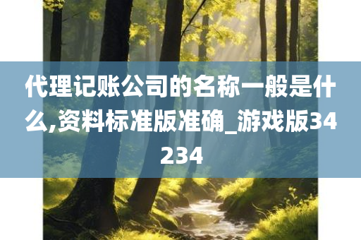 代理记账公司的名称一般是什么,资料标准版准确_游戏版34234