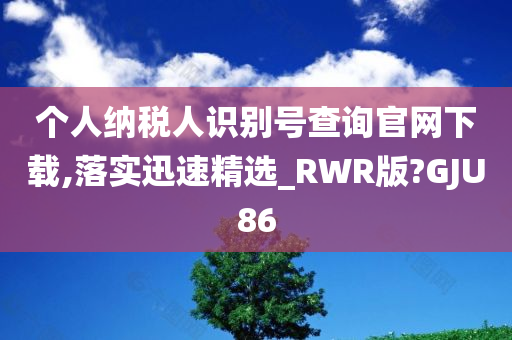 个人纳税人识别号查询官网下载,落实迅速精选_RWR版?GJU86