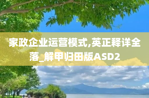 家政企业运营模式,英正释详全落_解甲归田版ASD2