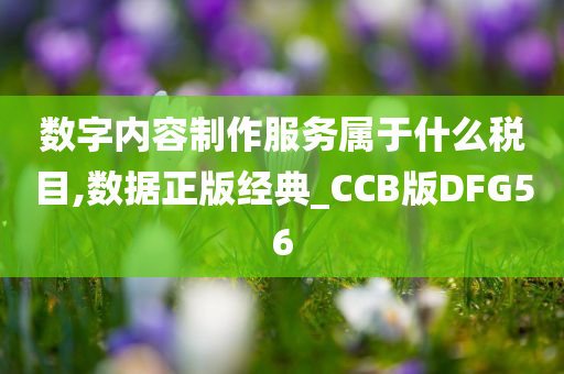 数字内容制作服务属于什么税目,数据正版经典_CCB版DFG56