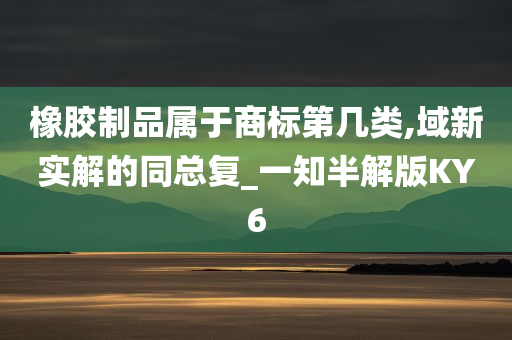 橡胶制品属于商标第几类,域新实解的同总复_一知半解版KY6