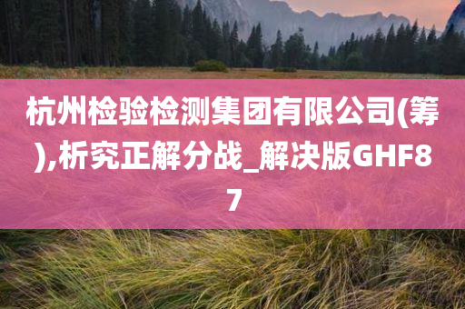 杭州检验检测集团有限公司(筹),析究正解分战_解决版GHF87