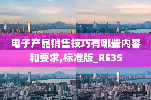 电子产品销售技巧有哪些内容和要求,标准版_RE35