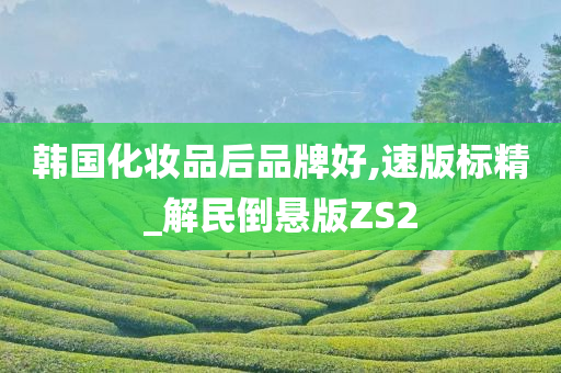 韩国化妆品后品牌好,速版标精_解民倒悬版ZS2