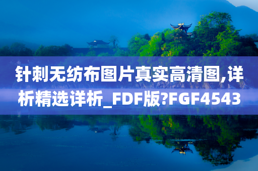 针刺无纺布图片真实高清图,详析精选详析_FDF版?FGF4543