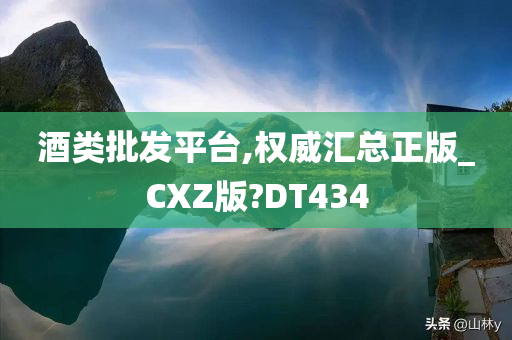 酒类批发平台,权威汇总正版_CXZ版?DT434