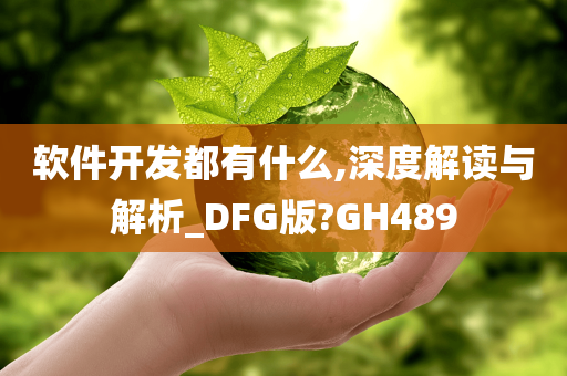 软件开发都有什么,深度解读与解析_DFG版?GH489