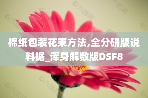 棉纸包装花束方法,全分研版说料据_浑身解数版DSF8